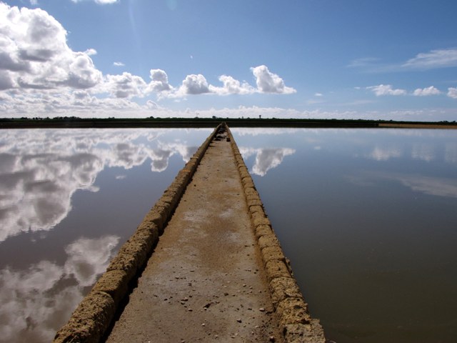 Mignattaio (foto-racconto)